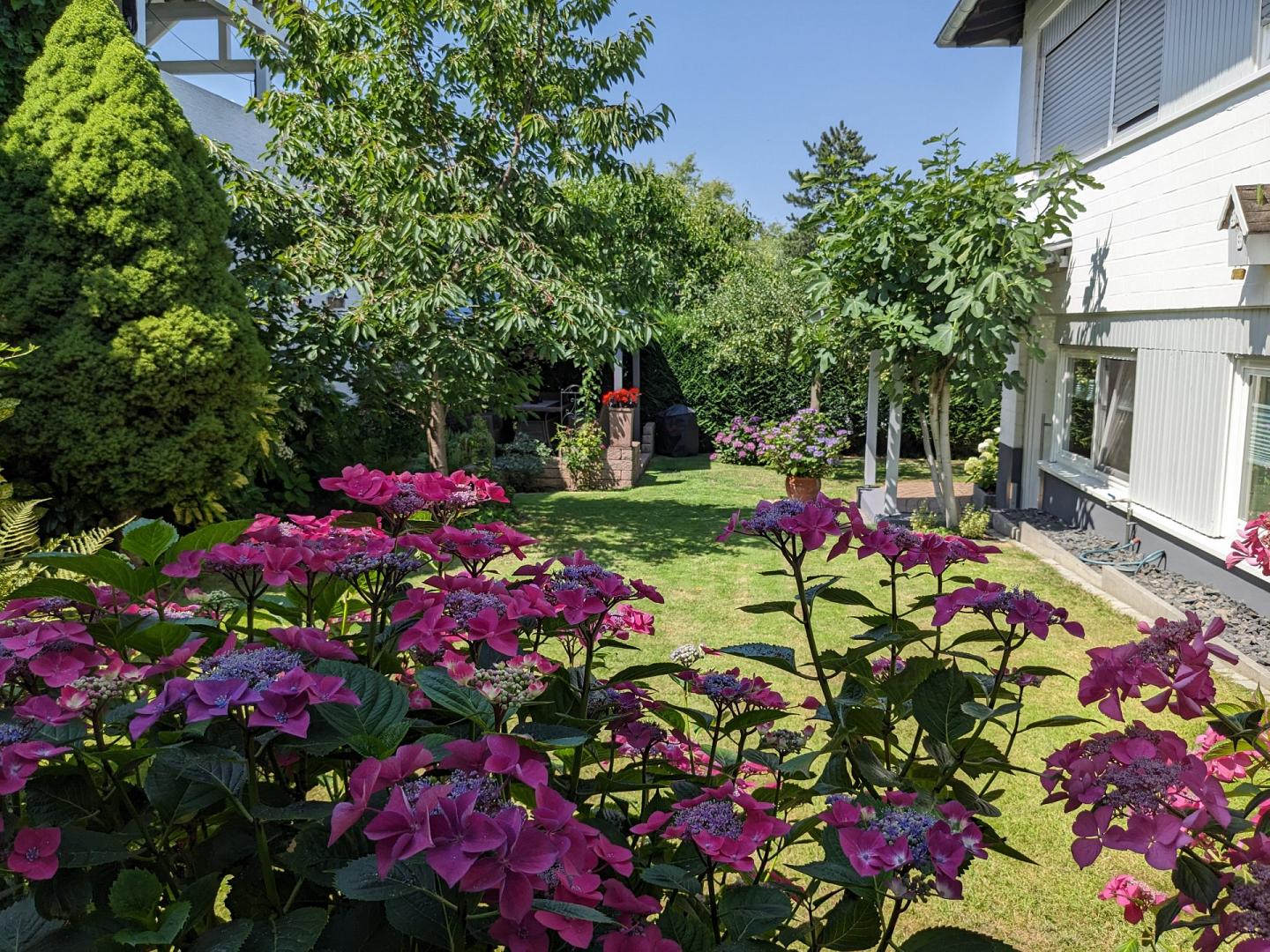 ferienwohnung-vitaevino.de - Header 3